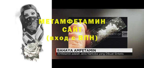 гидра Горняк