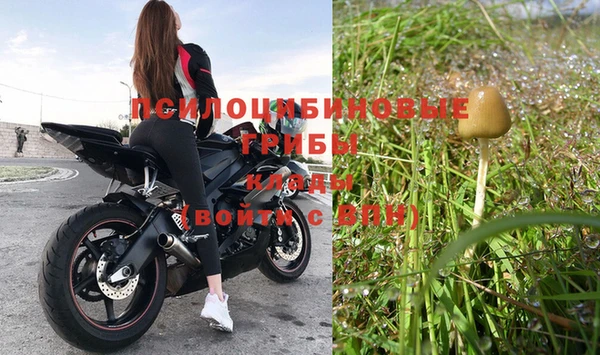 крисы Горнозаводск