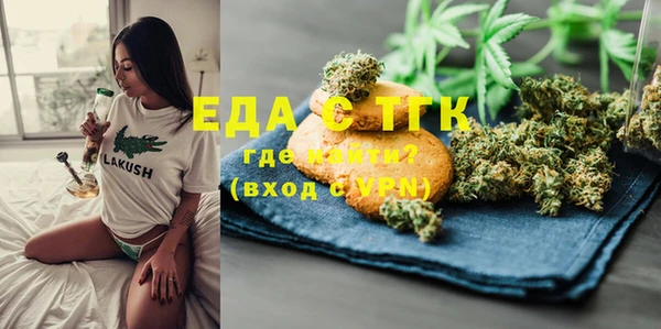 гидра Горняк