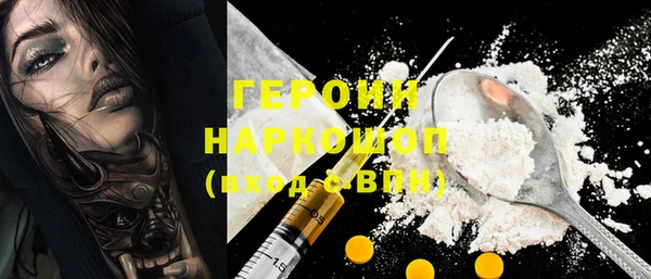 гидра Горняк