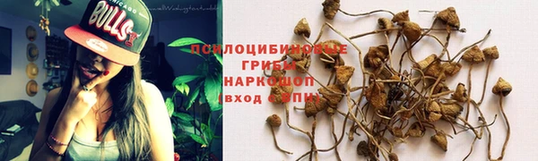 гидра Горняк